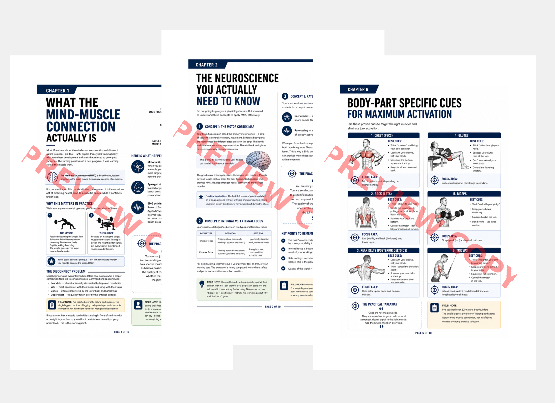Mind-Muscle Connection PDF Collage Preview